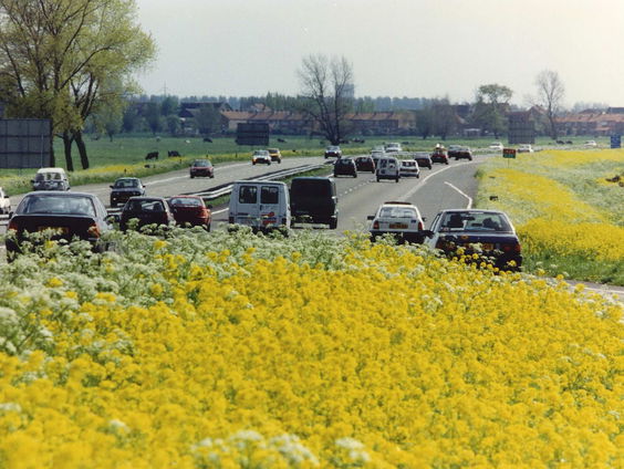 Onze bermen als groot natuurgebied