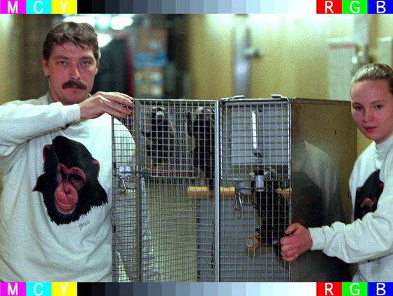 Na 33 jaar neemt directeur van Stichting AAP David van Gennep afscheid