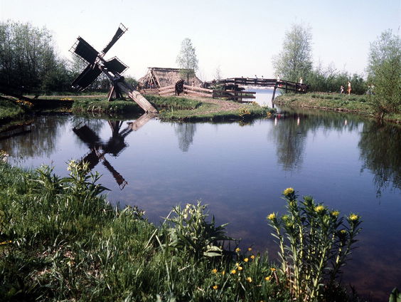 Boswachter Mathiska Lont over het effect van wisselvallig weer op de natuur