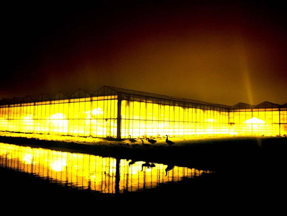 De Nacht van de Nacht voert actie tegen lichtvervuiling