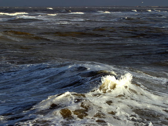 De Sint Elisabethvloeden: 'de toren van de kerk stak nog net boven het water uit'