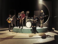 Boek over muziekgenre Nederblues