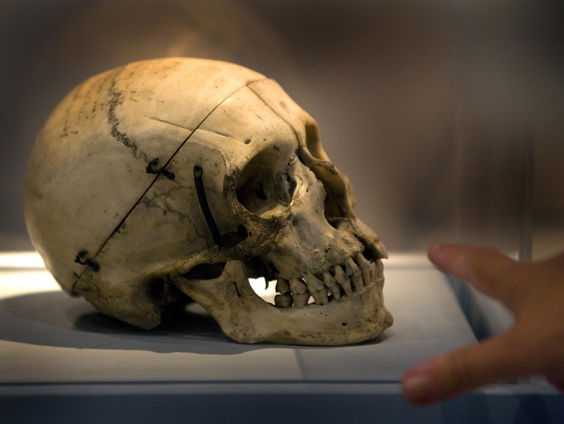 Gemengde gevoelens over menselijke resten in musea