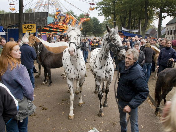 Zuidlaardermarkt weer van start