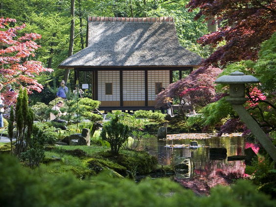 De Jaargetijden: Japanse bloeiers