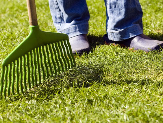 De Jaargetijden: grassen