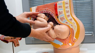 Proef met gratis kraamzorg in Amsterdam begint