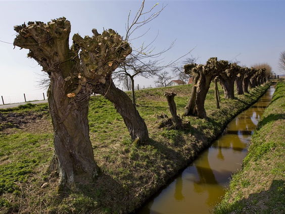 Sloot verwarmt huizen in Soest