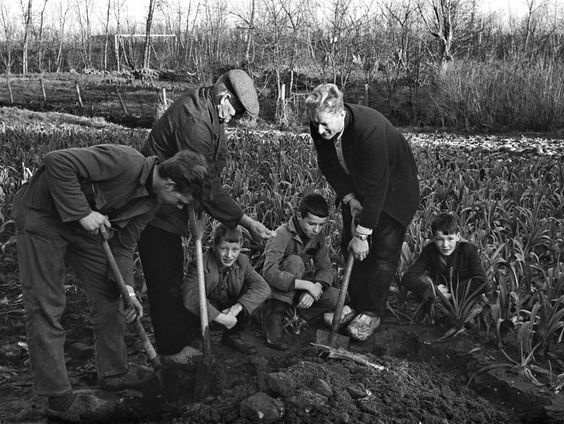 Goudsvondst in Serooskerke in 1966