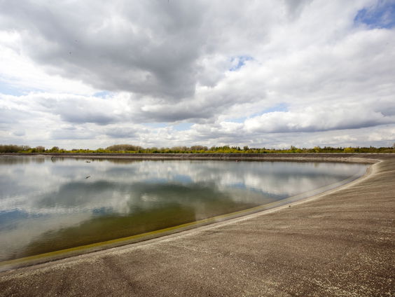 Wat is het nut van natte natuur?