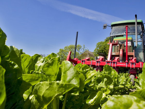 Deskundigen praten Tweede Kamer bij over gebruik bestrijdingsmiddelen
