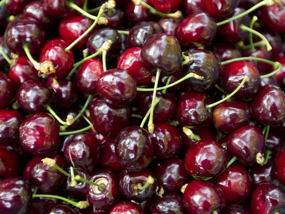 Is dit de oplossing voor de nachtmerrie die de suzuki-fruitvlieg heet?