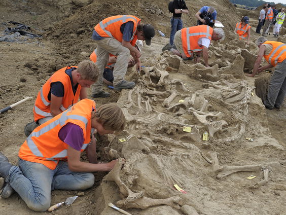 Terug naar Toen: amateurarcheoloog Tjerk Vermaning opgepakt voor oplichting