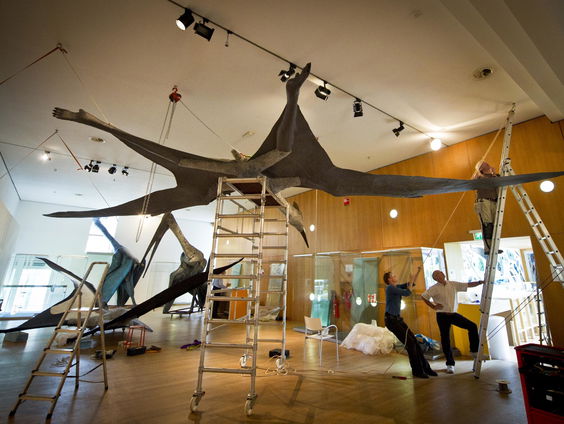 Dino’s met vleugels die nooit vlogen