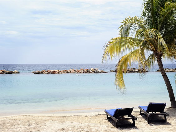 Waarom is water in de Noordzee troebel en in het Caraïbisch gebied helder?