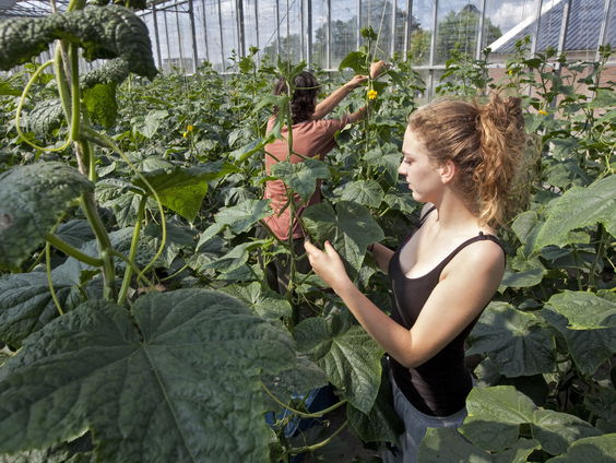 Wat wil de politiek met arbeidsmigranten?