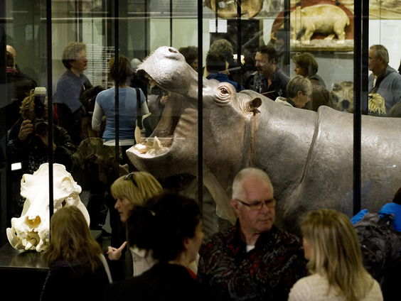 Het Artis vóór en ná Nijlpaard Tanja