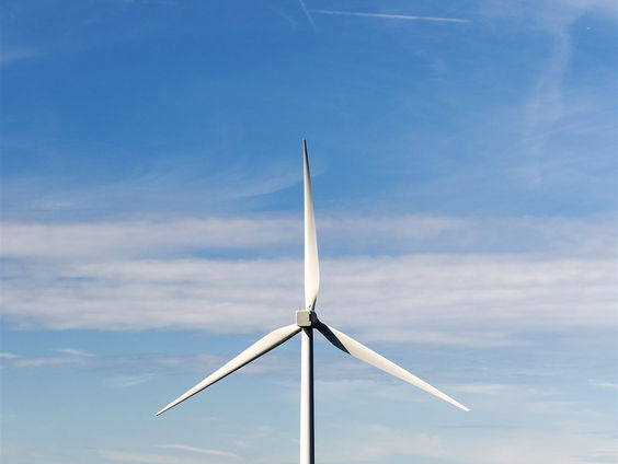 Plaatsen windmolens veroorzaakt schadelijk lawaai onderwater