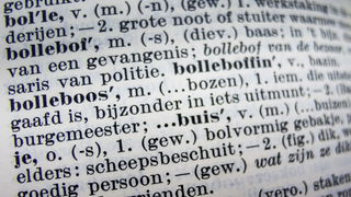 Antwoord op al je vragen over de Nederlandse taal