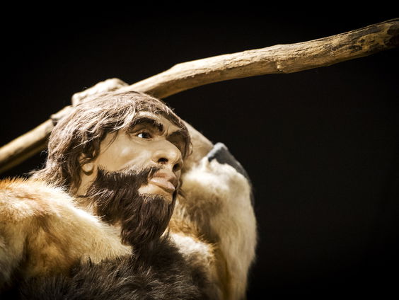 Nieuwe theorie over jachttechniek van prehistorische mens