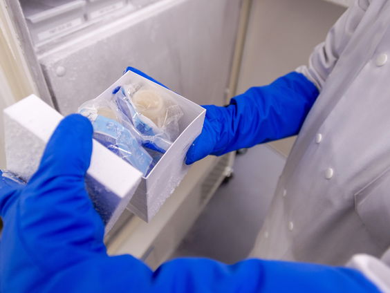 Wat zegt het dat vaders een grotere invloed hebben op de ontwikkeling van de darmflora van hun baby?