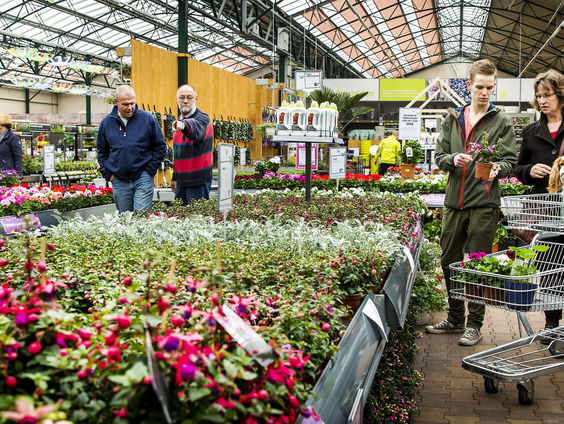 De verduurzaming van tuincentra