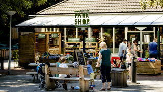 Vakanties worden duurder: betalen voor de Trevifontein in Rome, duurder tic ...