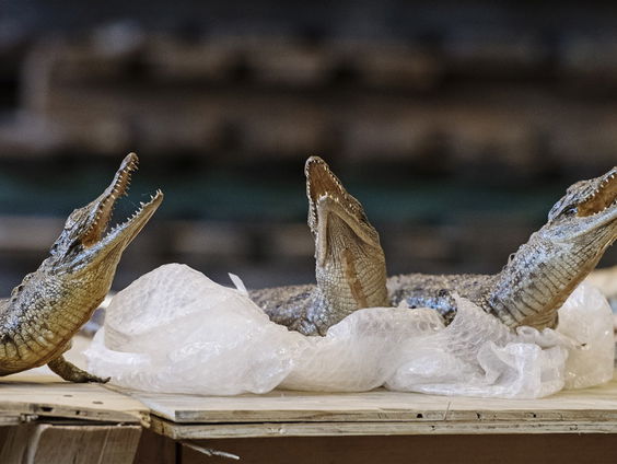 Wat kom je allemaal tegen als baas van het depot in beslag genomen goederen?