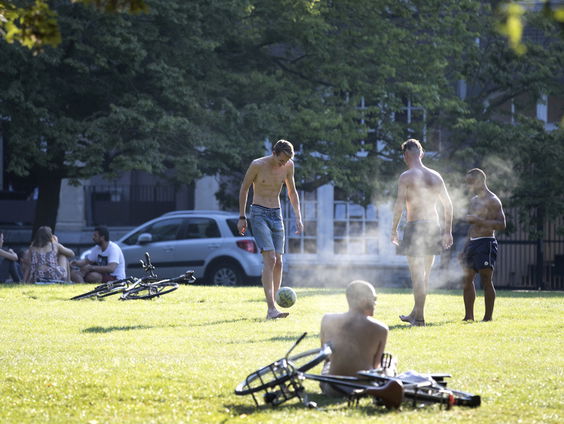 Zaterdag eerste editie van ‘24 uur voor de Stadsnatuur’ van start
