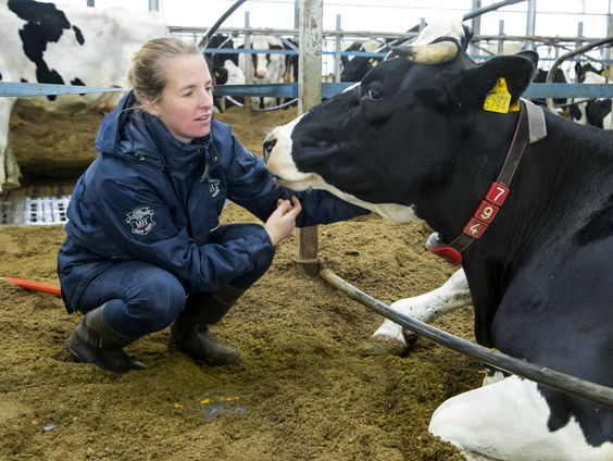 Bestuurders én boeren komen met nieuw stikstofvoorstel: doorbraak of schijnoplossing?