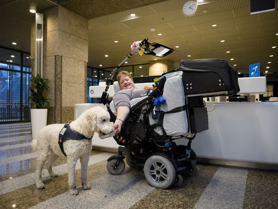 Hoe hulpvaardig is een hulphond?