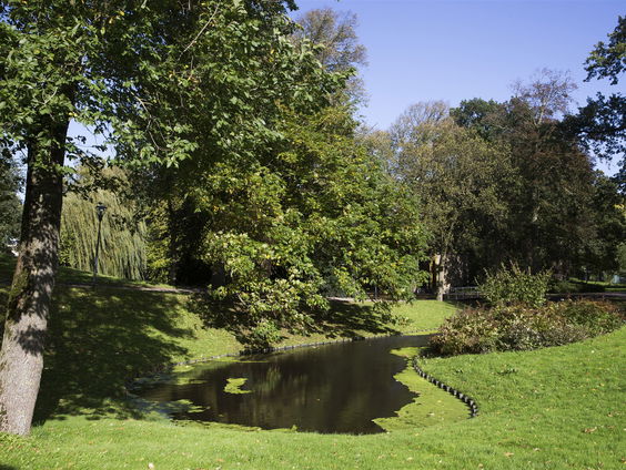 Van stad naar nationaal park: ‘Laat de natuur z’n gang gaan’