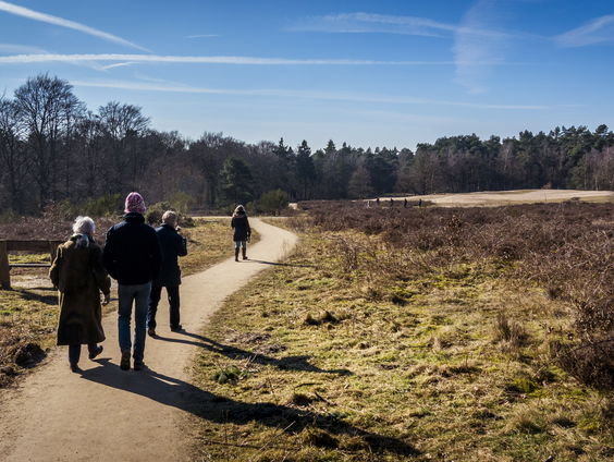 Feit of Fictie: Bodem Kaapse Bossen bij Utrecht zo zuur als azijn