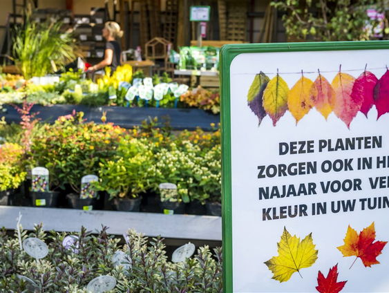 De jaargetijden: heermoes