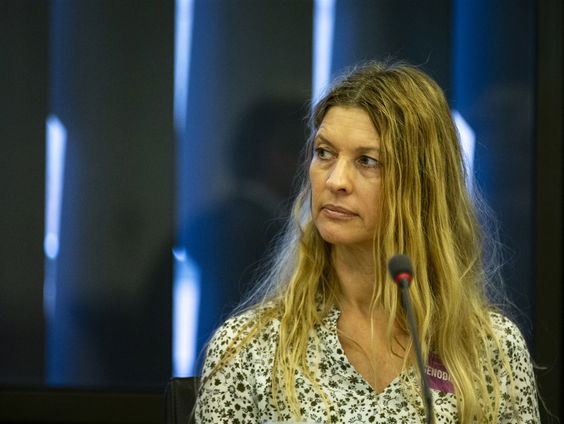 Economen kijken te eenzijdig naar de wereld, zegt deze econoom