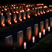 Recordaantal lichtjes op oorlogsgraven