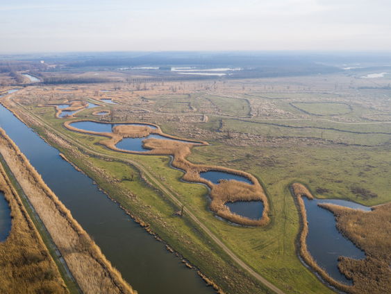 De Jaargetijden: Oostvaardersplassen