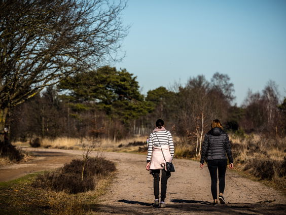 Een week vol lenteweer voor de deur: maar wat als je vast op kantoor zit?