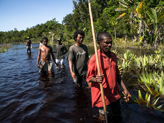 Simon Rietveld maakte zich zorgen om de natuur: begon bos in Madagaskar