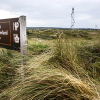 Van Den Helder tot Den Briel: Dag 16: Naar het Nationaal Park Zuid-Kennemer ...