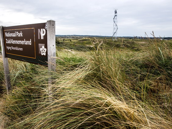 Van Den Helder tot Den Briel: Dag 16: Naar het Nationaal Park Zuid-Kennemerland in Bloemendaal