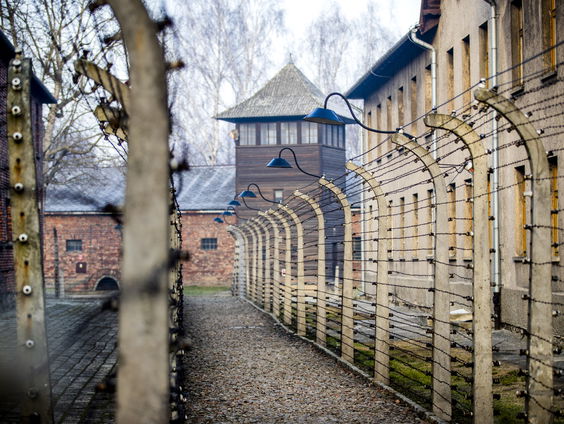Rosanne Kropman over de vrouwen die Trawniki overleefden