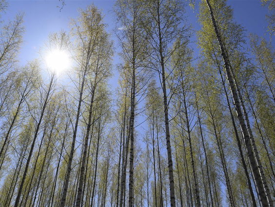 Lekkere Track: Tropisch mooie muziek