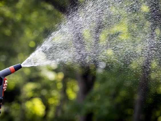 Er komt weer een hittegolf! Hoe zorg je dat je tuin groen blijft?