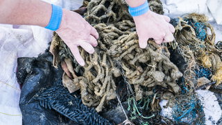 Opnieuw grote duikactie om Noordzee schoon te maken van afval MSC Zoe