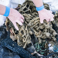 Opnieuw grote duikactie om Noordzee schoon te maken van afval MSC Zoe