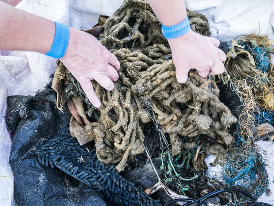 Opnieuw grote duikactie om Noordzee schoon te maken van afval MSC Zoe