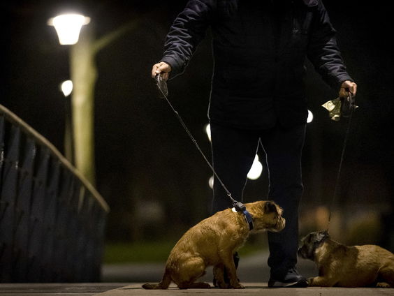 Huisvriend Marjolein de Rooij over bijtende honden