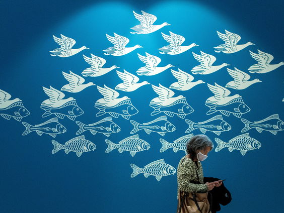 Een oneindige wereld: Het werk en leven van kunstenaar Escher