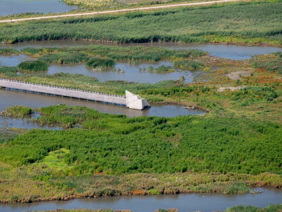 Guerrilla Gardening: een strijd voor meer biodiversiteit